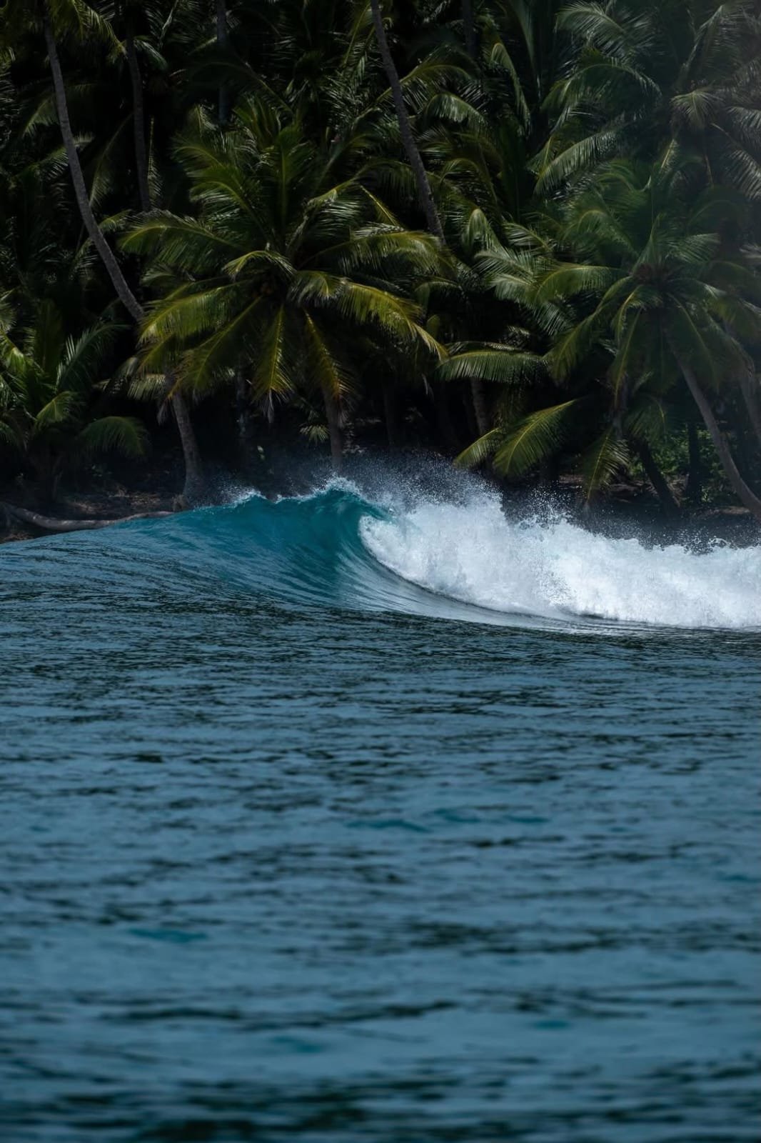 Pulau Tuapejat